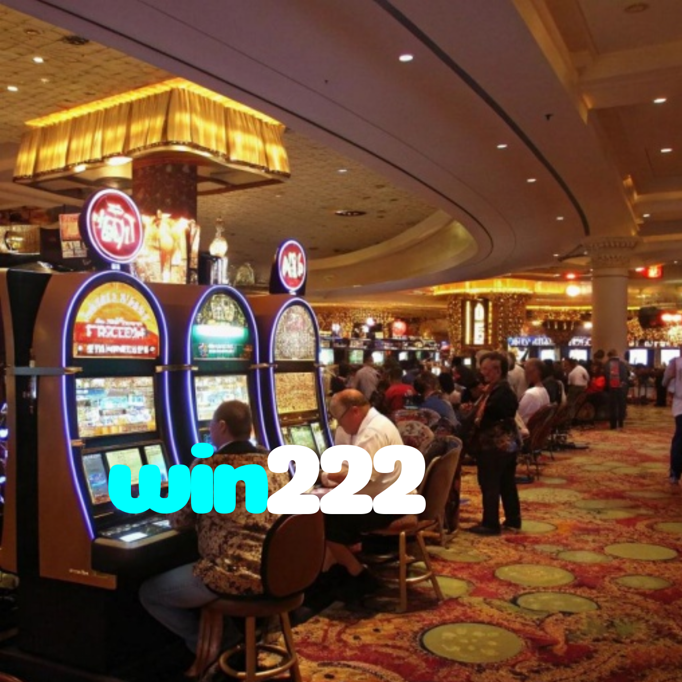 win222