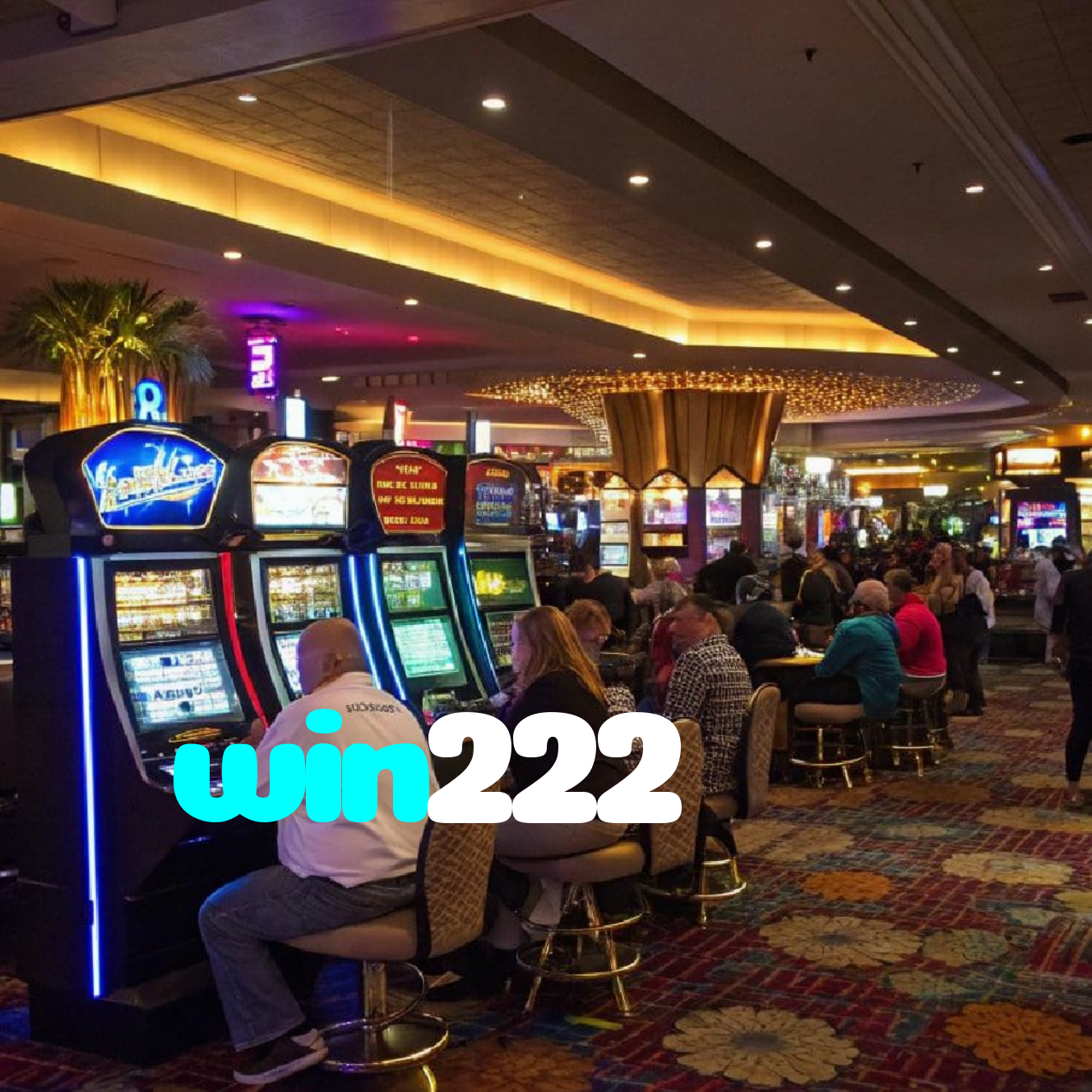 win222